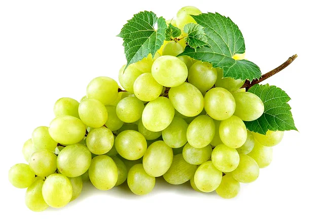 Raisins turkish wholesale raisins supplier