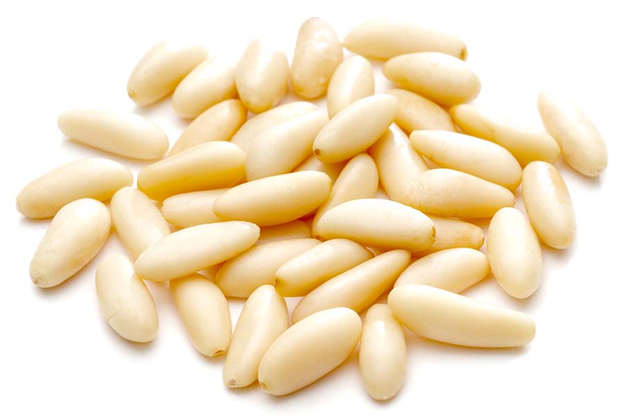 Best Bulk Wholesale Pine Nuts Supplier LADACA Inc.